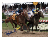 Curlin 2007 Preakness Stakes Photo 8x10 Signed