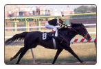 Seattle Slew 1977 Preakness Stakes #411