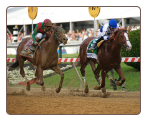 Shackleford 2011 Preakness Stakes